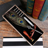 Antique Feather Writing Ink Set-
